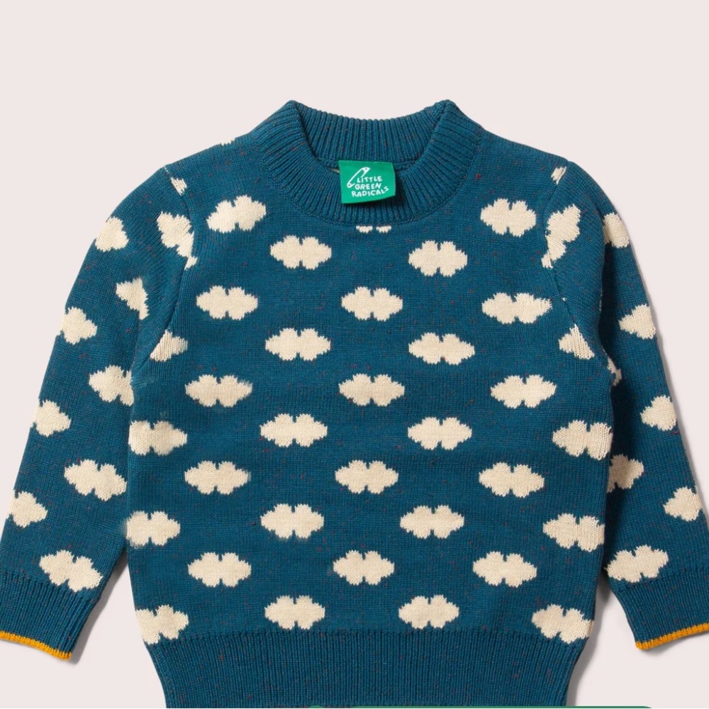 Little Green Radicals Teal Cloud Jumper